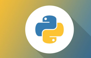 代写Python assignment-代写Python作业怎么避免被发现-Python代做