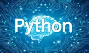 代写Python – 找代写python编程的公司怎么找 – 代写麻烦么