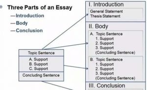 essay作业代写 – essay写作通用格式 – 留学生essay代写