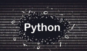 Python作业 – 数据集代写 – homework代写 – CS 334